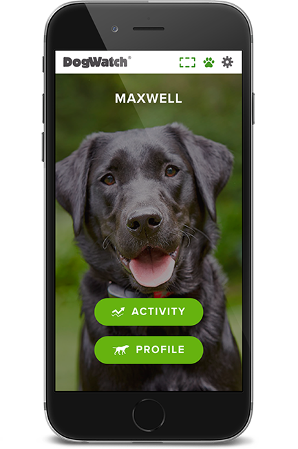 DogWatch of Omaha, Omaha, Nebraska | SmartFence WebApp Image