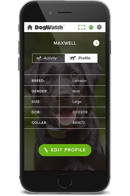 DogWatch of Omaha, Omaha, Nebraska | SmartFence WebApp Image