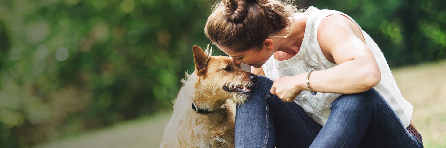 DogWatch of Omaha, Omaha, Nebraska | BarkCollar No-Bark Trainer Slider Image